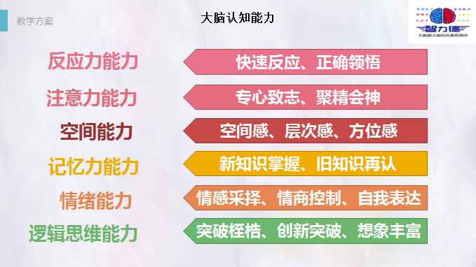 智力德大脑6项能力4.png