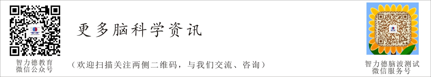 智力德公众号客服号投资家网1.jpg